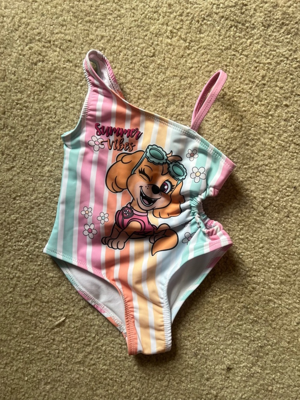Paw Patrol Skye Rainbow Striped Swimsuit with fun details